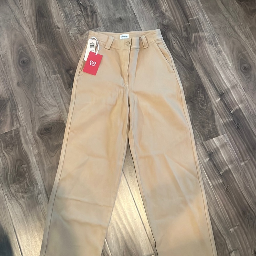 Aritzia pants